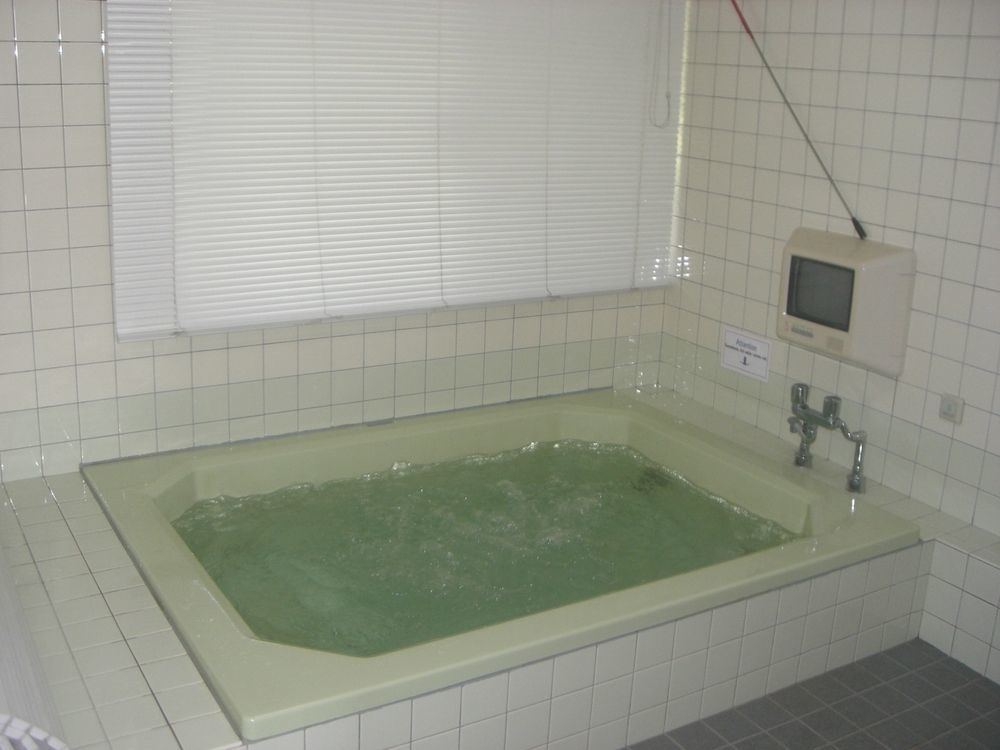 Nagomi-Tei Hotel Hakuba Buitenkant foto